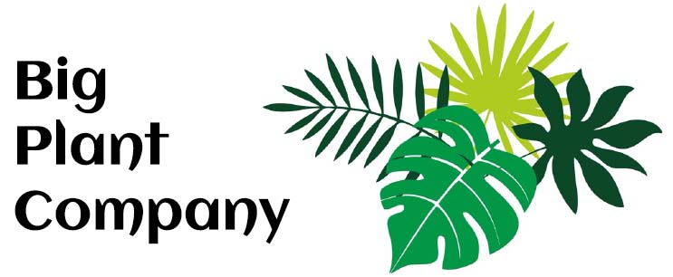 The Big Plant Company