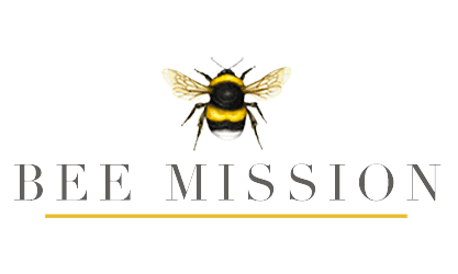 Bee Mission 500